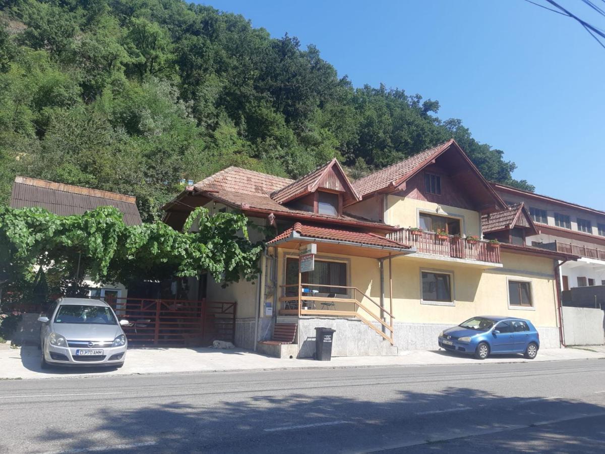 Hotel Casa Dina à Băile Herculane Extérieur photo