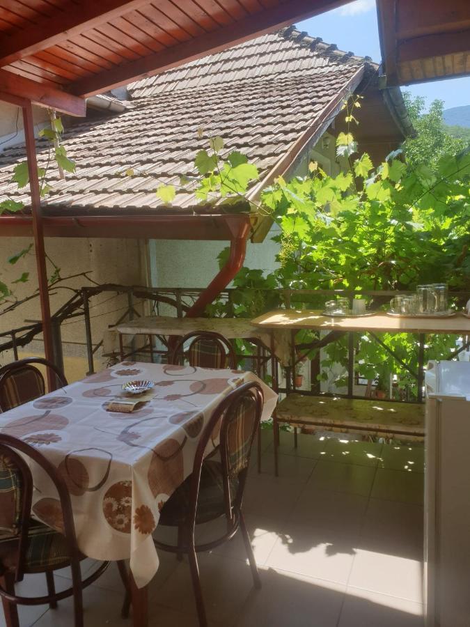 Hotel Casa Dina à Băile Herculane Extérieur photo