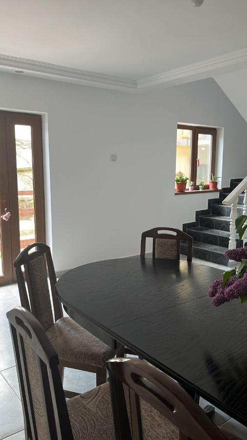Hotel Casa Dina à Băile Herculane Extérieur photo