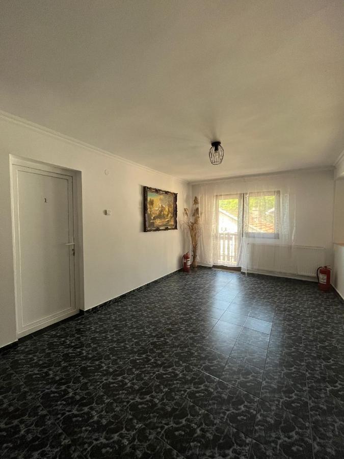 Hotel Casa Dina à Băile Herculane Extérieur photo
