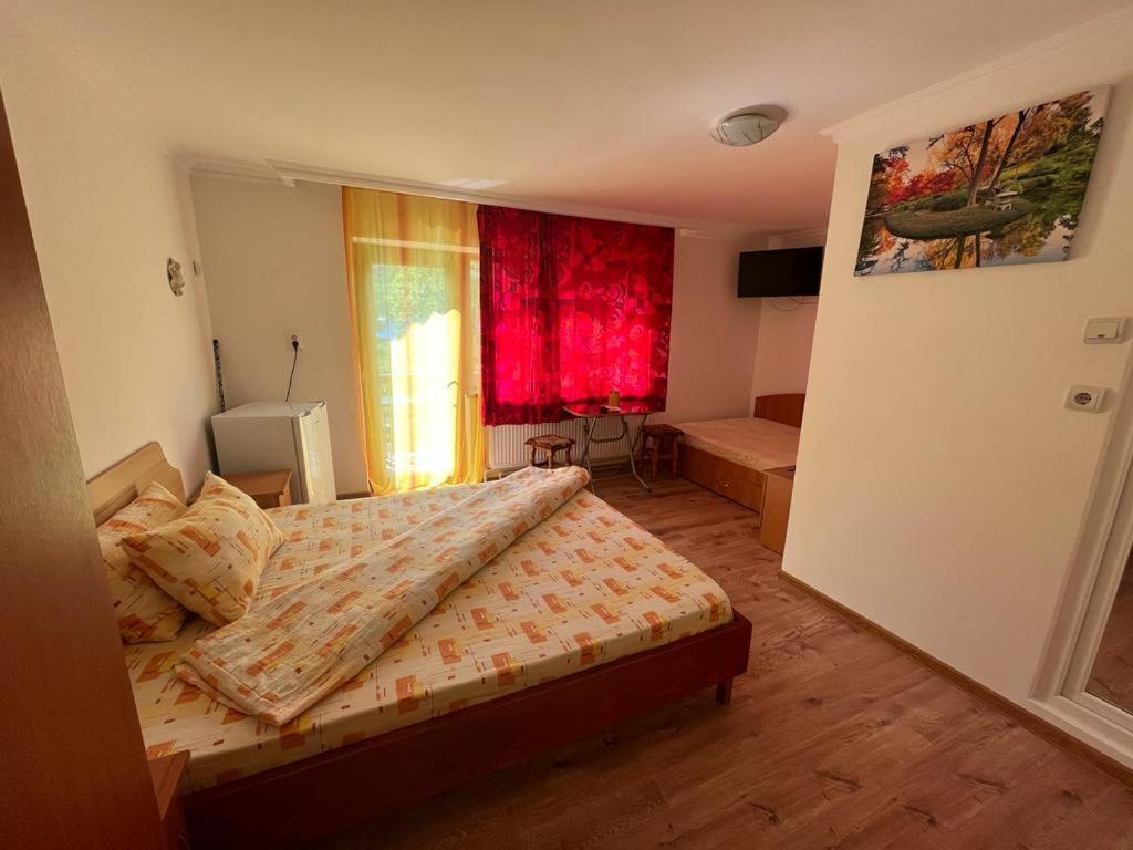 Hotel Casa Dina à Băile Herculane Extérieur photo